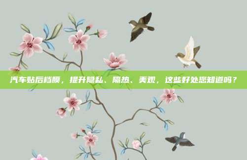 汽车贴后档膜，提升隐私、隔热、美观，这些好处您知道吗？