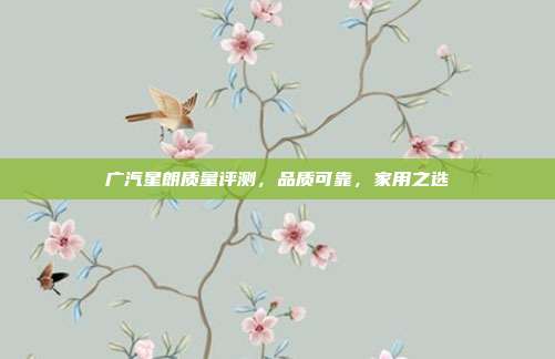 广汽星朗质量评测，品质可靠，家用之选