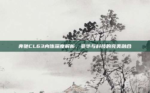 奔驰CL63内饰深度解析，豪华与科技的完美融合