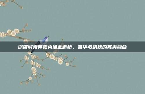 深度解析奔驰内饰全解析，奢华与科技的完美融合