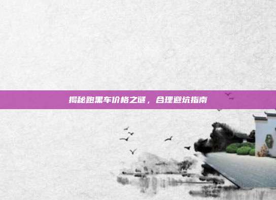 揭秘跑黑车价格之谜，合理避坑指南