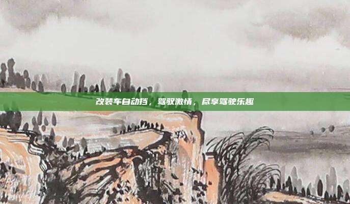改装车自动挡，驾驭激情，尽享驾驶乐趣