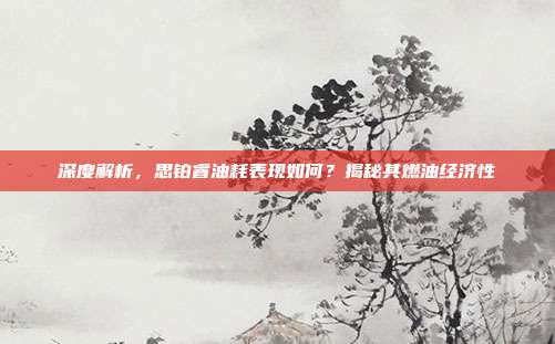 深度解析，思铂睿油耗表现如何？揭秘其燃油经济性