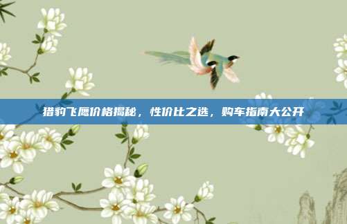 猎豹飞鹰价格揭秘，性价比之选，购车指南大公开