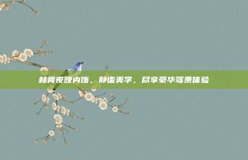 林肯夜晚内饰，静谧美学，尽享豪华驾乘体验