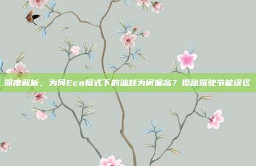 深度解析，为何Eco模式下的油耗为何偏高？揭秘驾驶节能误区