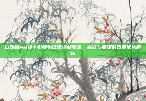 自动挡PN货车引领物流运输新潮流，高效与便捷的双重优势解析