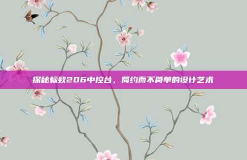 探秘标致206中控台，简约而不简单的设计艺术