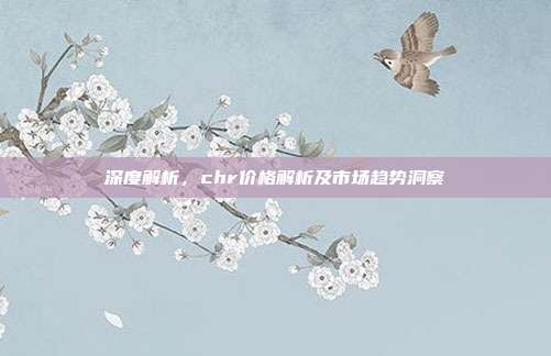 深度解析，chr价格解析及市场趋势洞察