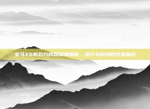 宝马X6新款方向盘深度解析，设计与科技的完美融合