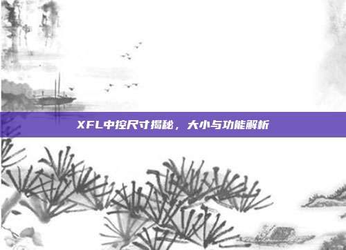XFL中控尺寸揭秘，大小与功能解析