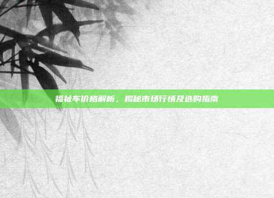 福祉车价格解析，揭秘市场行情及选购指南