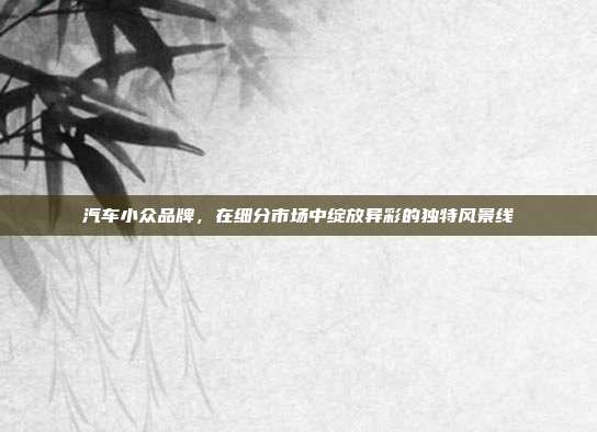 汽车小众品牌，在细分市场中绽放异彩的独特风景线