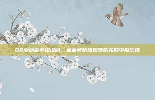 08爱丽舍中控说明，全面解析法国雪铁龙的中控系统