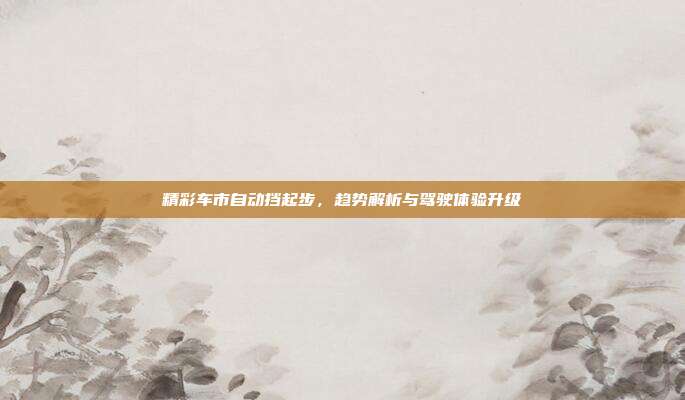 精彩车市自动挡起步，趋势解析与驾驶体验升级