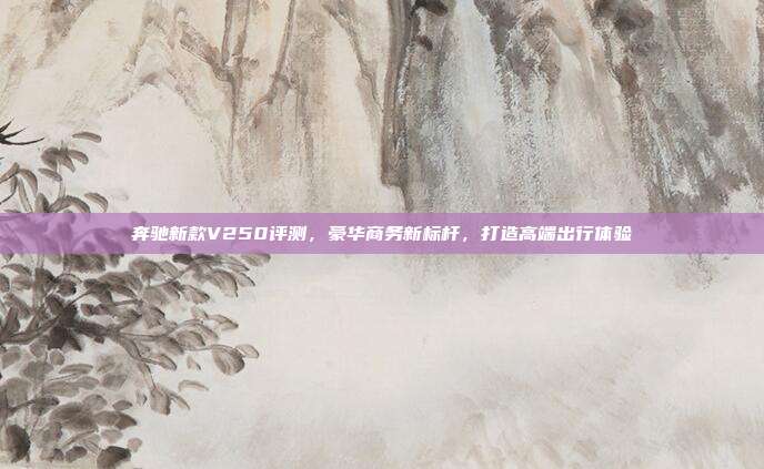 奔驰新款V250评测，豪华商务新标杆，打造高端出行体验