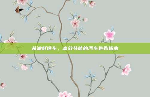 从油耗选车，高效节能的汽车选购指南