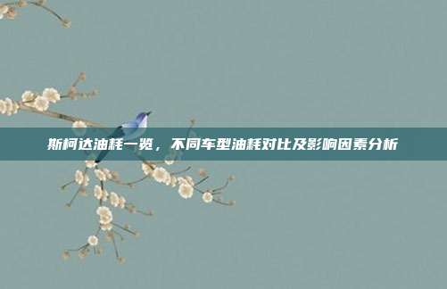 斯柯达油耗一览，不同车型油耗对比及影响因素分析