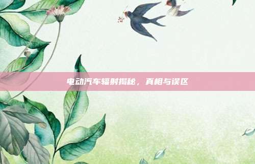 电动汽车辐射揭秘，真相与误区