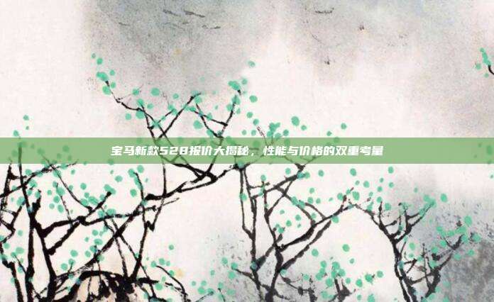 宝马新款528报价大揭秘，性能与价格的双重考量