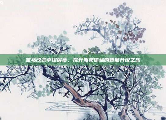 宝马改装中控屏幕，提升驾驶体验的智能升级之旅