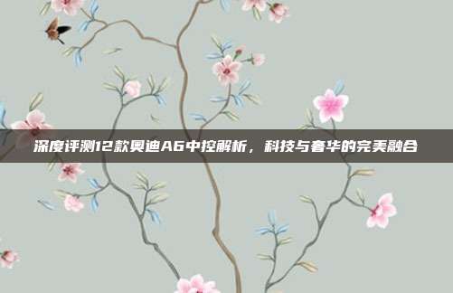 深度评测12款奥迪A6中控解析，科技与奢华的完美融合