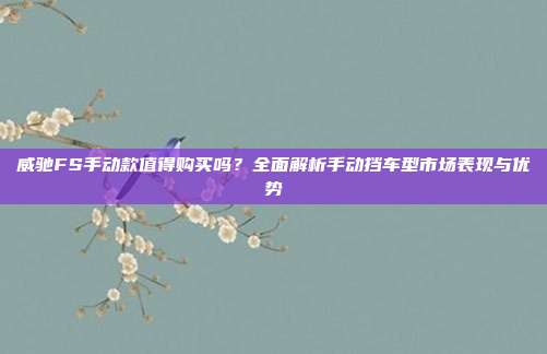 威驰FS手动款值得购买吗？全面解析手动挡车型市场表现与优势