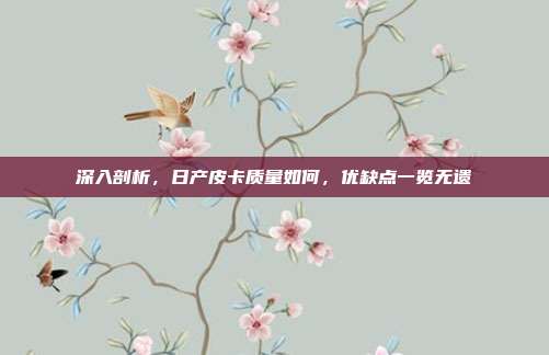 深入剖析，日产皮卡质量如何，优缺点一览无遗
