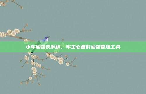 小车油耗表解析，车主必备的油耗管理工具