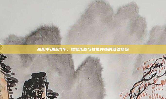 高配手动挡汽车，驾驶乐趣与性能并重的驾驶体验