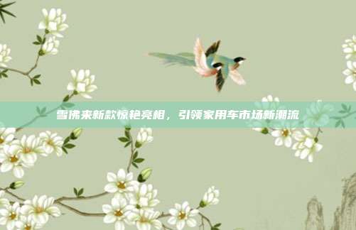 雪佛来新款惊艳亮相，引领家用车市场新潮流