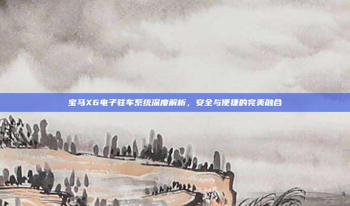 宝马X6电子驻车系统深度解析，安全与便捷的完美融合