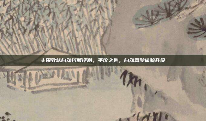 丰田致炫自动挡版评测，平价之选，自动驾驶体验升级