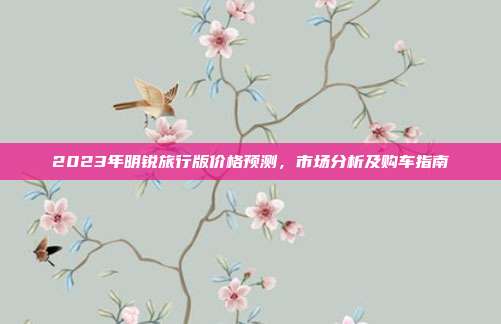 2023年明锐旅行版价格预测，市场分析及购车指南