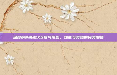 深度解析新款X5排气系统，性能与美观的完美融合