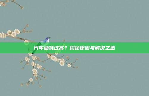 汽车油耗过高？揭秘原因与解决之道