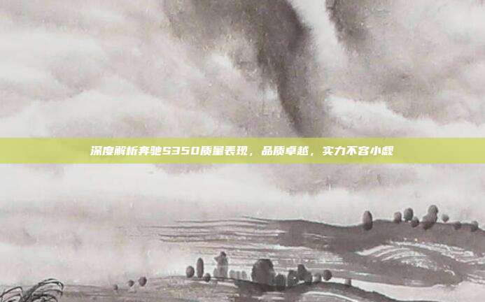 深度解析奔驰S350质量表现，品质卓越，实力不容小觑