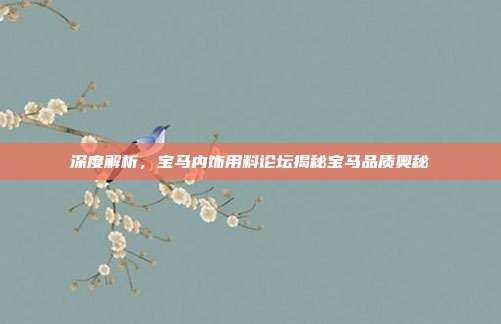 深度解析，宝马内饰用料论坛揭秘宝马品质奥秘