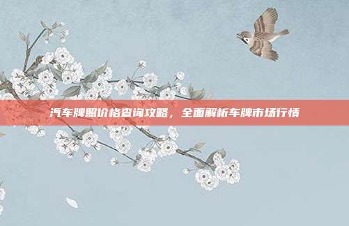 汽车牌照价格查询攻略，全面解析车牌市场行情