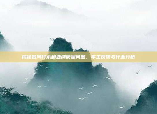 揭秘昌河铃木利亚纳质量问题，车主反馈与行业分析