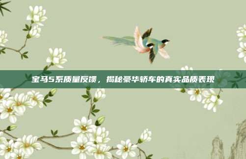 宝马5系质量反馈，揭秘豪华轿车的真实品质表现