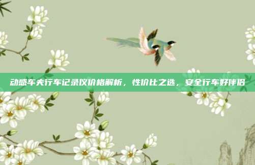 动感车夫行车记录仪价格解析，性价比之选，安全行车好伴侣