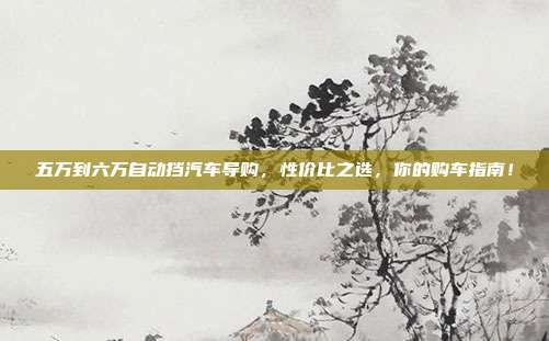 五万到六万自动挡汽车导购，性价比之选，你的购车指南！