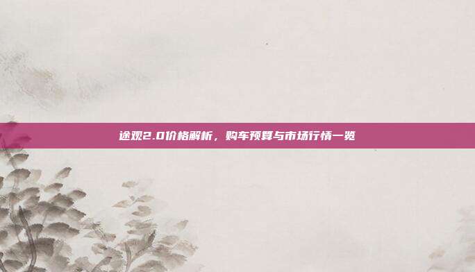 途观2.0价格解析，购车预算与市场行情一览