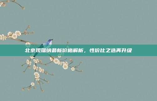 北京现瑞纳最新价格解析，性价比之选再升级