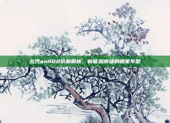 北汽eu400价格解析，新能源市场的明星车型