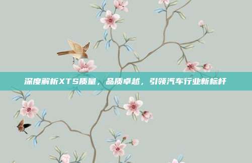 深度解析XTS质量，品质卓越，引领汽车行业新标杆
