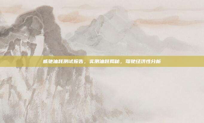 威驰油耗测试报告，实测油耗揭秘，驾驶经济性分析