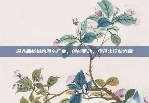 深入解析猎豹汽车厂家，创新驱动，绿色出行新力量