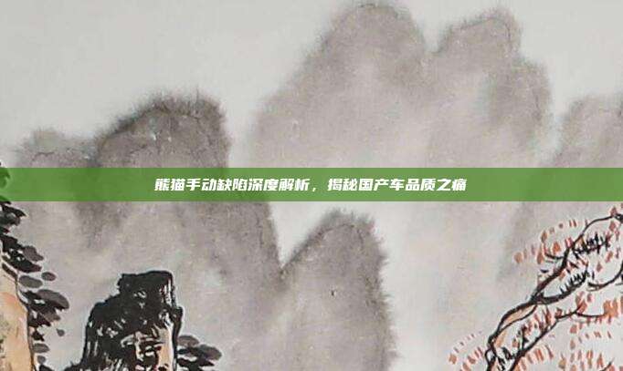 熊猫手动缺陷深度解析，揭秘国产车品质之痛